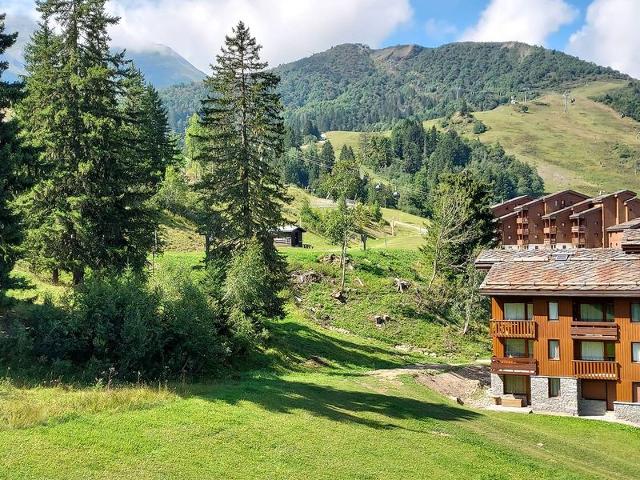 Appartement Cheval Noir G VM-CHN045 - Valmorel