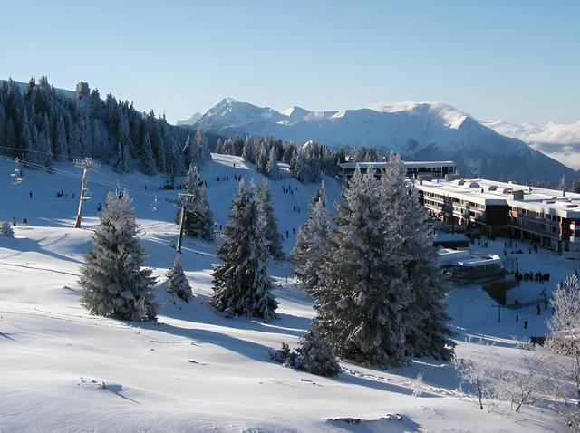 Flat Lauzière N°30 - 2P6 - Chamrousse