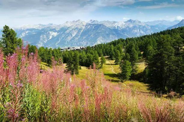Colchiques residentie - Vars