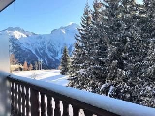 Residentie Le Midi - Les Deux Alpes Soleil