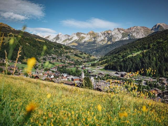 Studio Montagnard Chaleureux avec Accès Bien-être, Proche Pistes et Navette Gratuite FR-1-467-29 - Le Grand Bornand