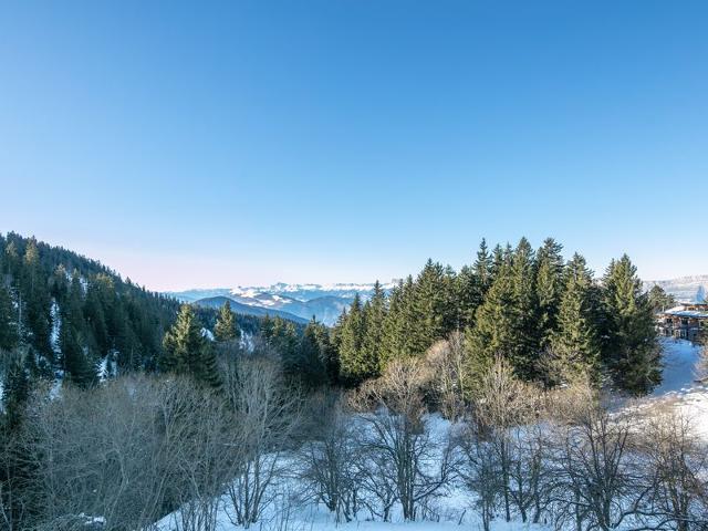 Studio Le Vernon N 406 - ST5 - Chamrousse