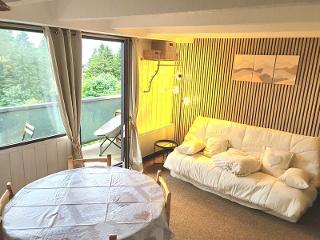 Studio Le Vernon N 406 - ST5 - Chamrousse