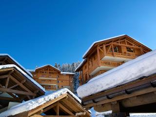 Flat L'Orée des Cimes - Vallandry