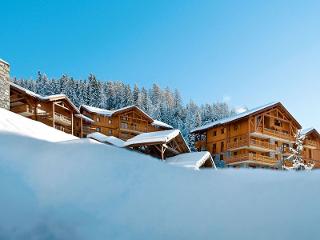Flat L'Orée des Cimes - Vallandry