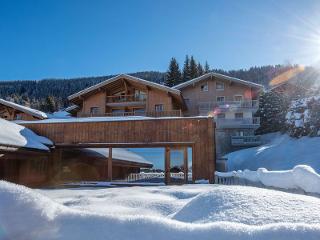 Flat CGH Rés&Spa Chalets de Jouvence - Les Carroz d'Araches