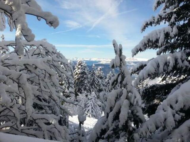 Chalet Chalet des lupins - Chalet 1P2 - Chamrousse