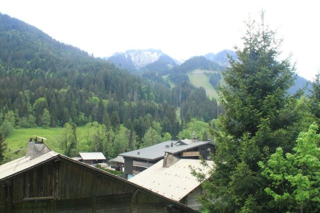Appartements Les Voinettes - Châtel