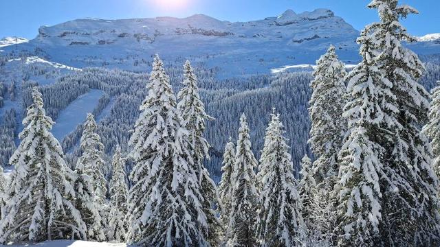 Flats LES PLEIADES - Flaine Forêt 1700