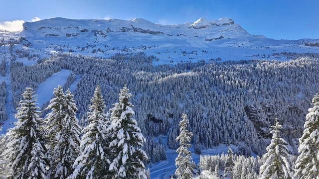 Flats LES PLEIADES - Flaine Forêt 1700