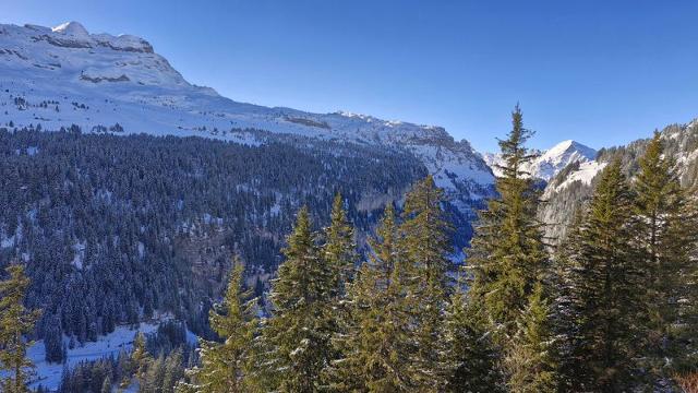 Flats LES PLEIADES - Flaine Forêt 1700