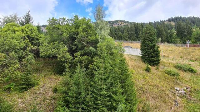 Flats ANDROMEDE - Flaine Forêt 1700