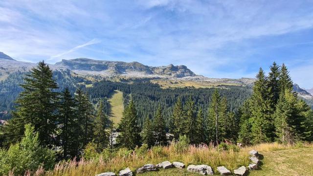 Flats CASTOR - Flaine Forêt 1700