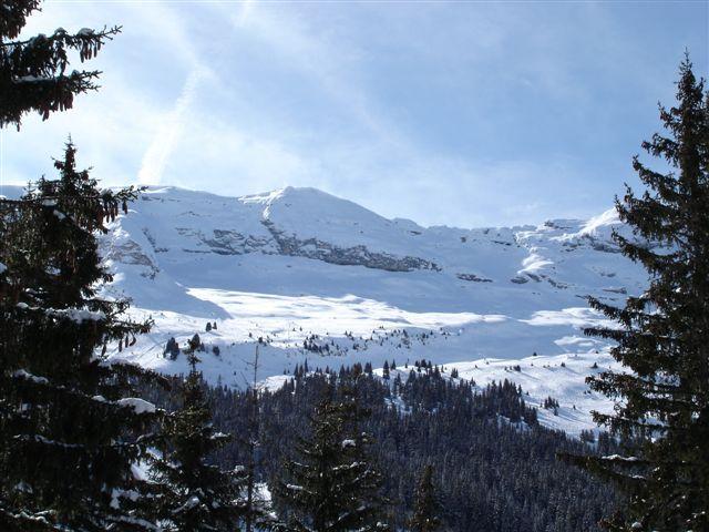Flats CASTOR - Flaine Forêt 1700