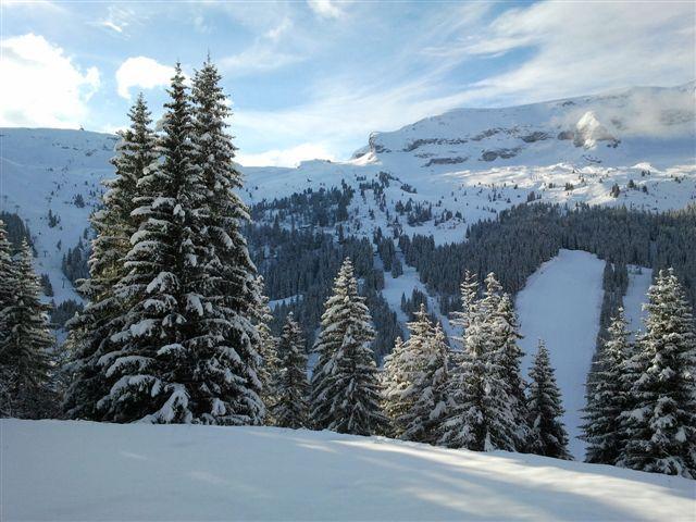 Flats SAGITTAIRE - Flaine Forêt 1700