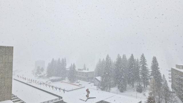 Flats VEGA - Flaine Forum 1600
