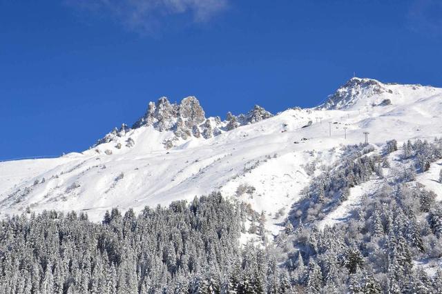 Appartements Residence Grande Rosiere - Méribel Mottaret 1850