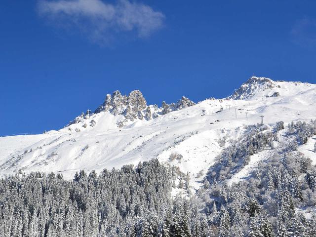 Appartements Res Aiguille Du Fruit - Méribel Mottaret 1850
