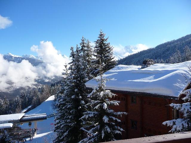 Appartements Grand Bois - La Tania