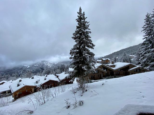 Appartements Grand Bois - La Tania