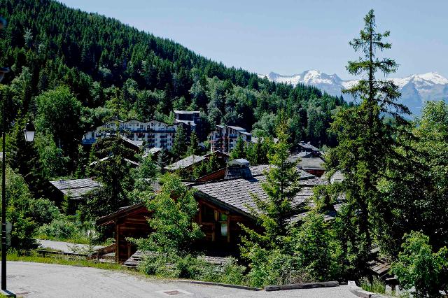 Appartements Carlina Extension - La Tania
