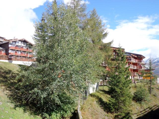 Les Niverolles NV008 - La Rosière