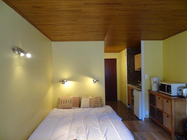 Appartements Olympe - Les Deux Alpes Centre