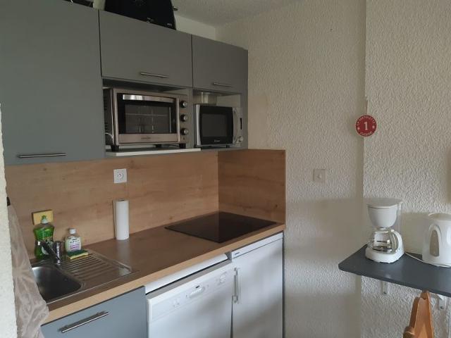 Appartements Viking - Les Deux Alpes Venosc