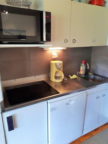 Appartements Viking - Les Deux Alpes Venosc