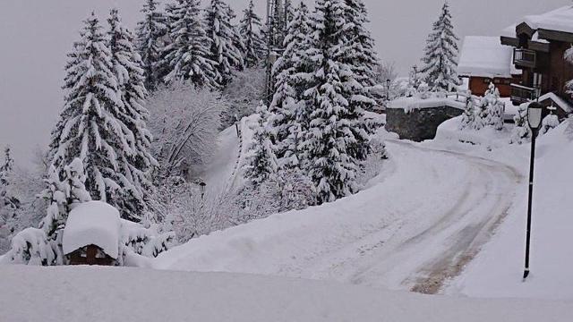 Appartements Residence Les Brigues - Courchevel 1550