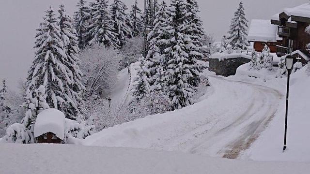 Appartements Residence Les Brigues - Courchevel 1550