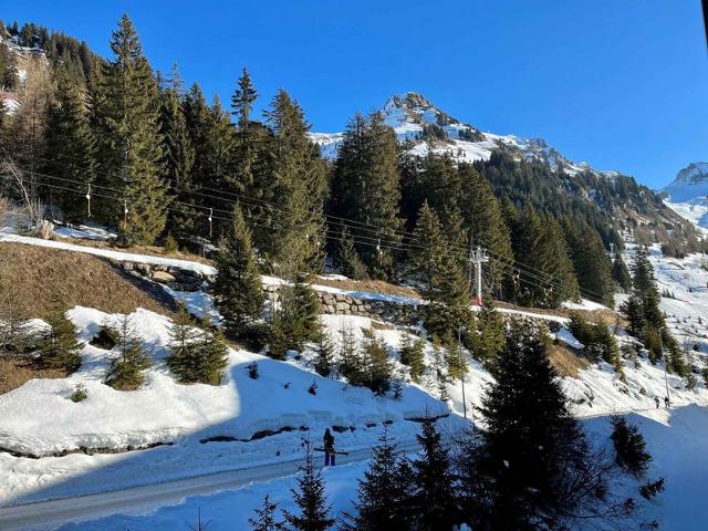 Flats RESIDENCE DE LA FORET - Flaine Forêt 1700