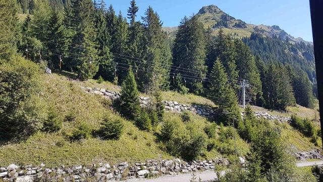 Flats RESIDENCE DE LA FORET - Flaine Forêt 1700