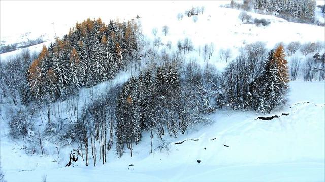 travelski home choice - Flats VOSTOK - Le Corbier