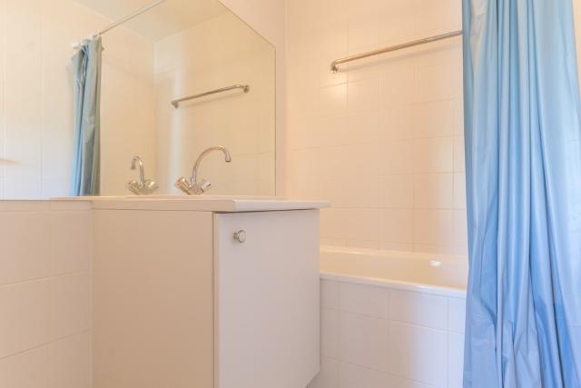 Flats VANGUARD - Le Corbier