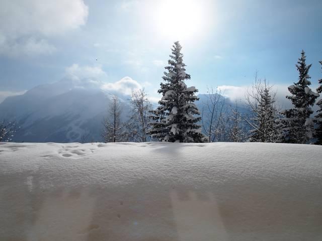 travelski home choice - Flats LA VANOISE - La Rosière