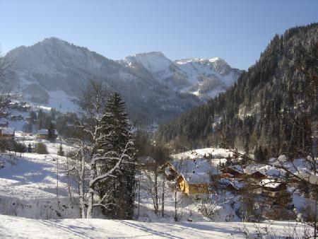 Résidence les MARGUERITES - Châtel