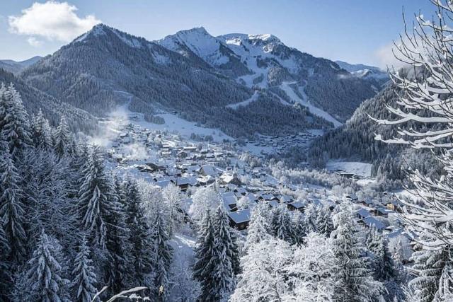 Chalet le VIEUX FOUR - Châtel