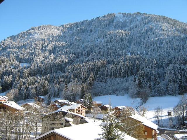 Résidence les VOINETTES - Châtel
