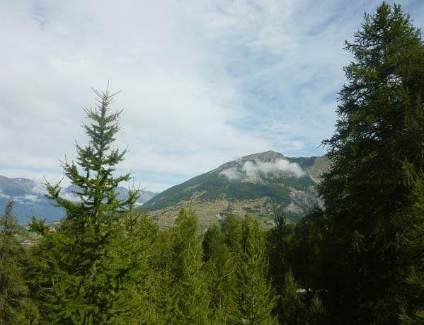 Appartement L'eperviere 343 - Les Orres