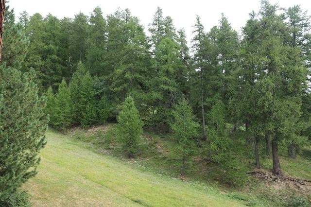 Appartement L'eperviere 344 - Les Orres