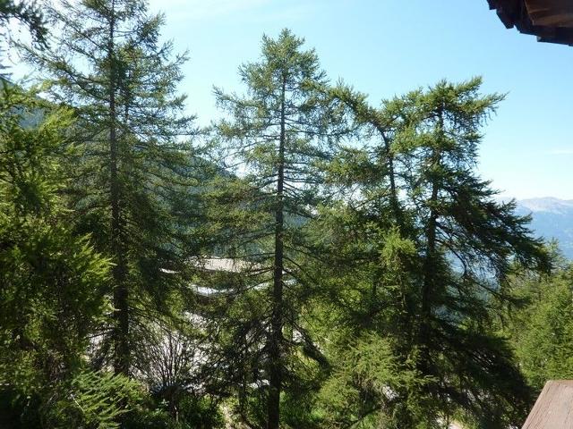 Appartement Le Pouzenc 387 - Les Orres
