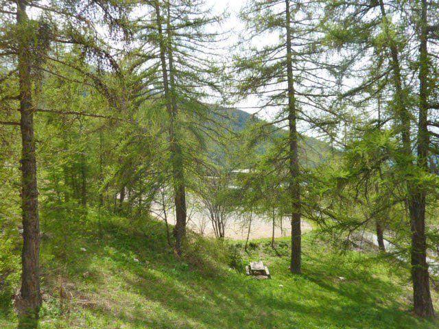 Appartement Le Pouzenc 390 - Les Orres