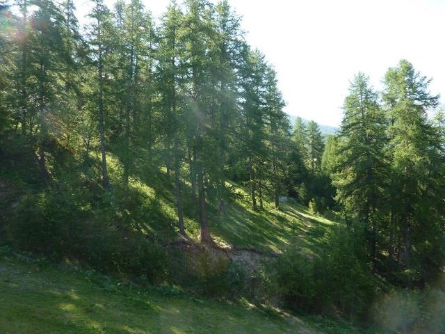 Appartement L'eperviere 357 - Les Orres