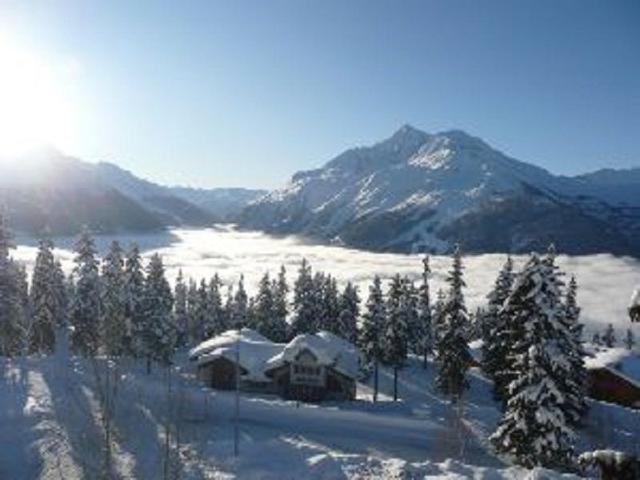 Les Bouquetins B BB416 - La Rosière