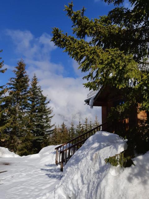 Appartements Horizon Blanc - Courchevel 1850