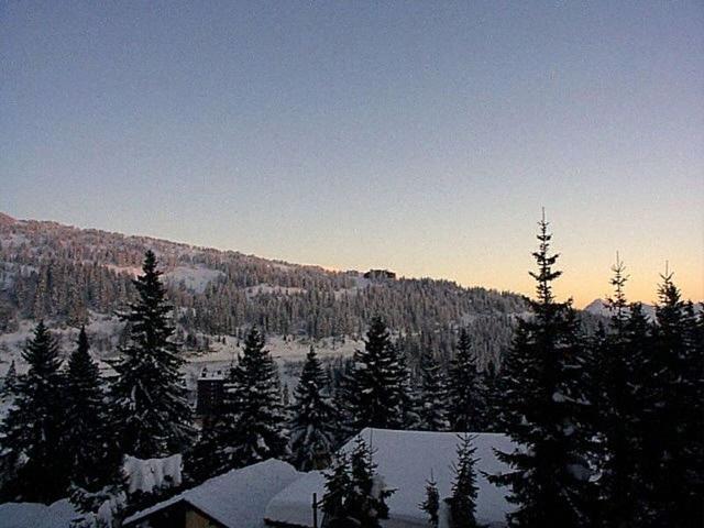 studio 3 places proche pistes et commerces - Chamrousse