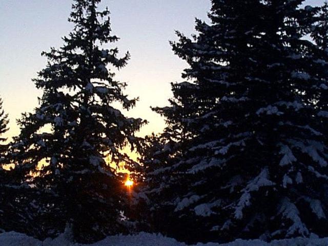 studio 3 places proche pistes et commerces - Chamrousse