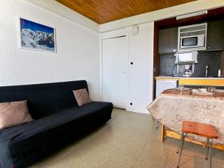 studio 3 places situé au pied des pistes avec vue vallée. - Chamrousse
