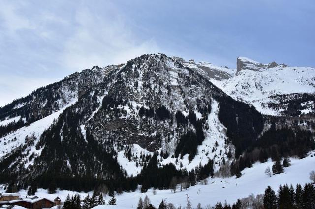 Appartements Grand Sud - Pralognan la Vanoise